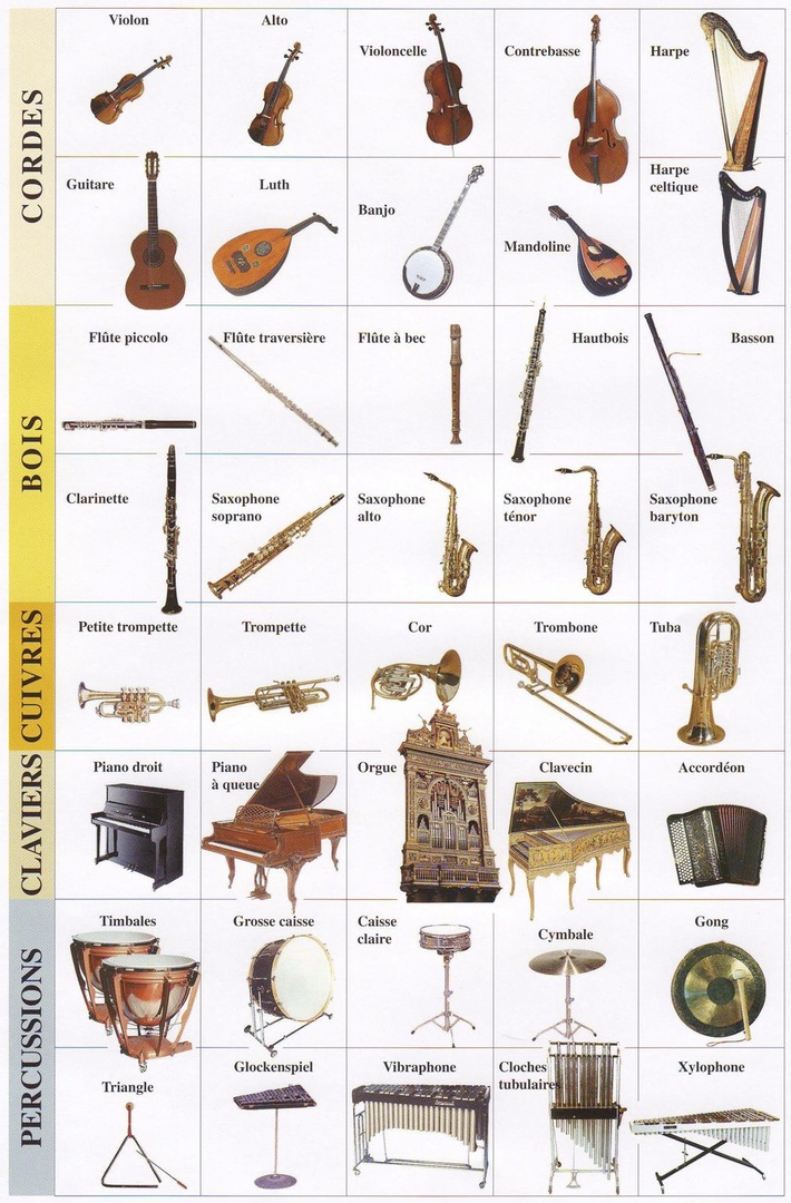 Les instruments de musique en français 